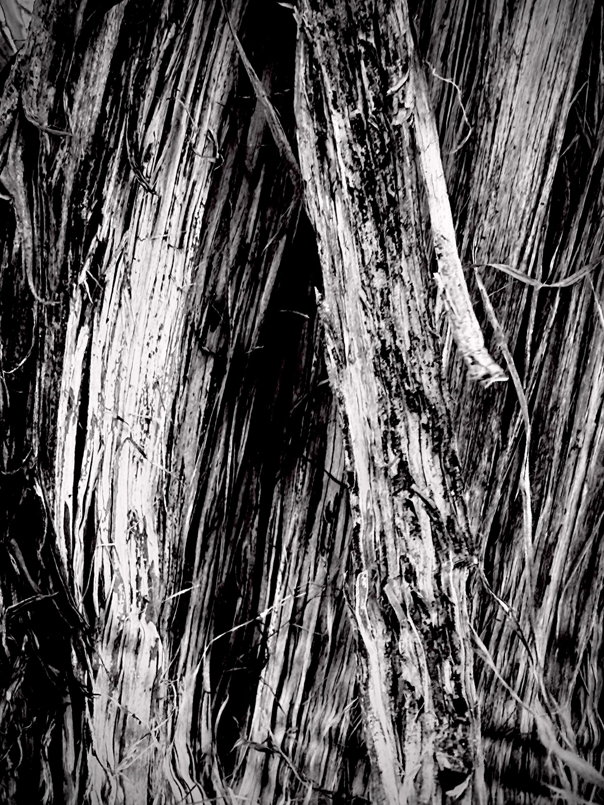 Bandcamp Reviews: One Leg One Eye & Numün Reviewed
